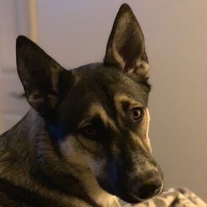 Meet your Posher, Nathan